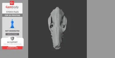3D model of a Bronze Quoll skull, front view, for 3D printing.