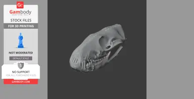3D model of a quoll skull, detailed and ready for 3D printing.
