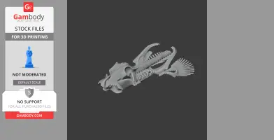 3D model of a Brownbanded Bamboo Shark skull, detailed and ready for 3D printing.