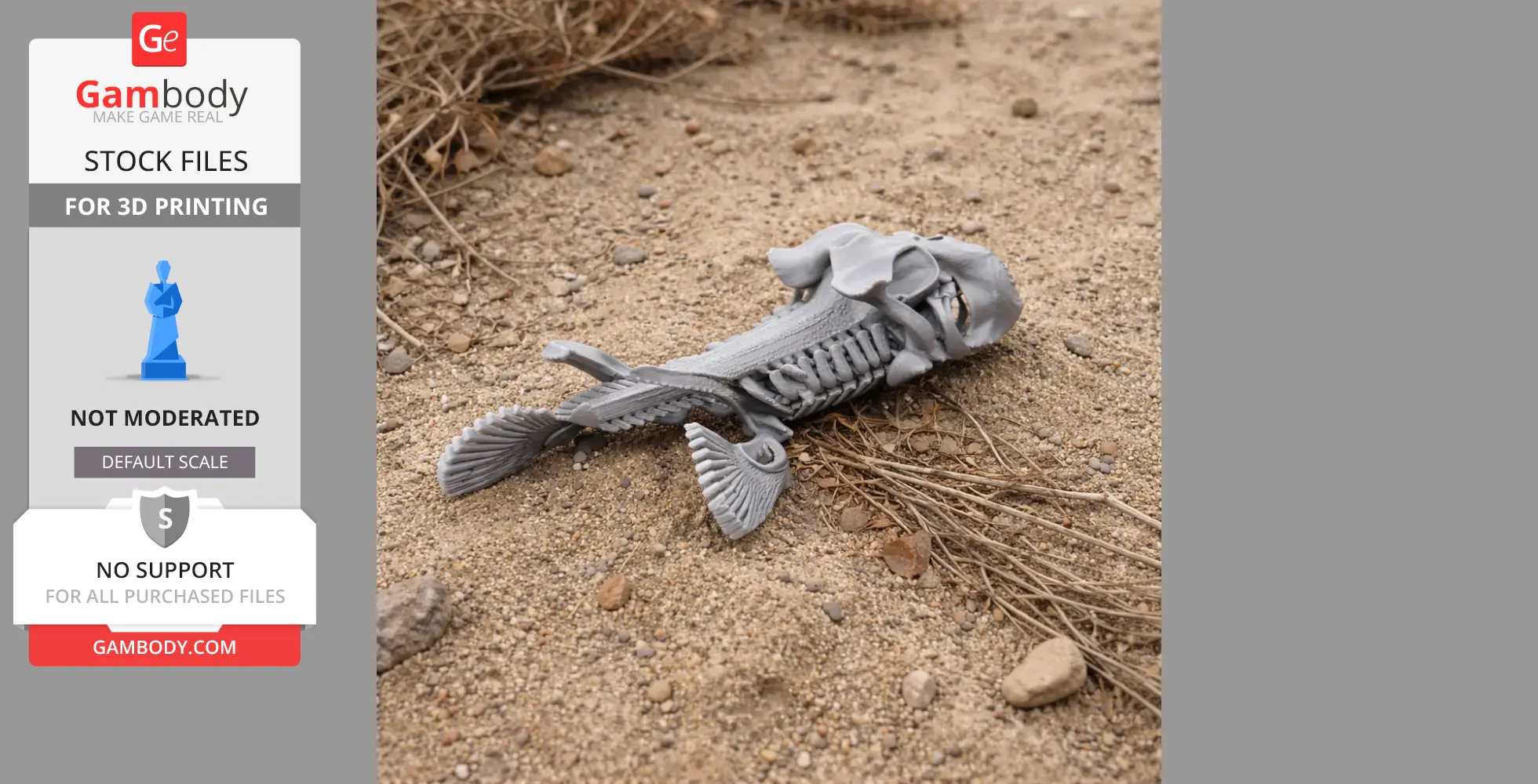 Gray 3D printed brownbanded bamboo shark skull lying on sandy ground.