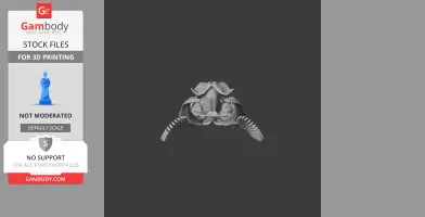 3D model of a Brownbanded Bamboo Shark skull, ready for printing, viewed from the front.