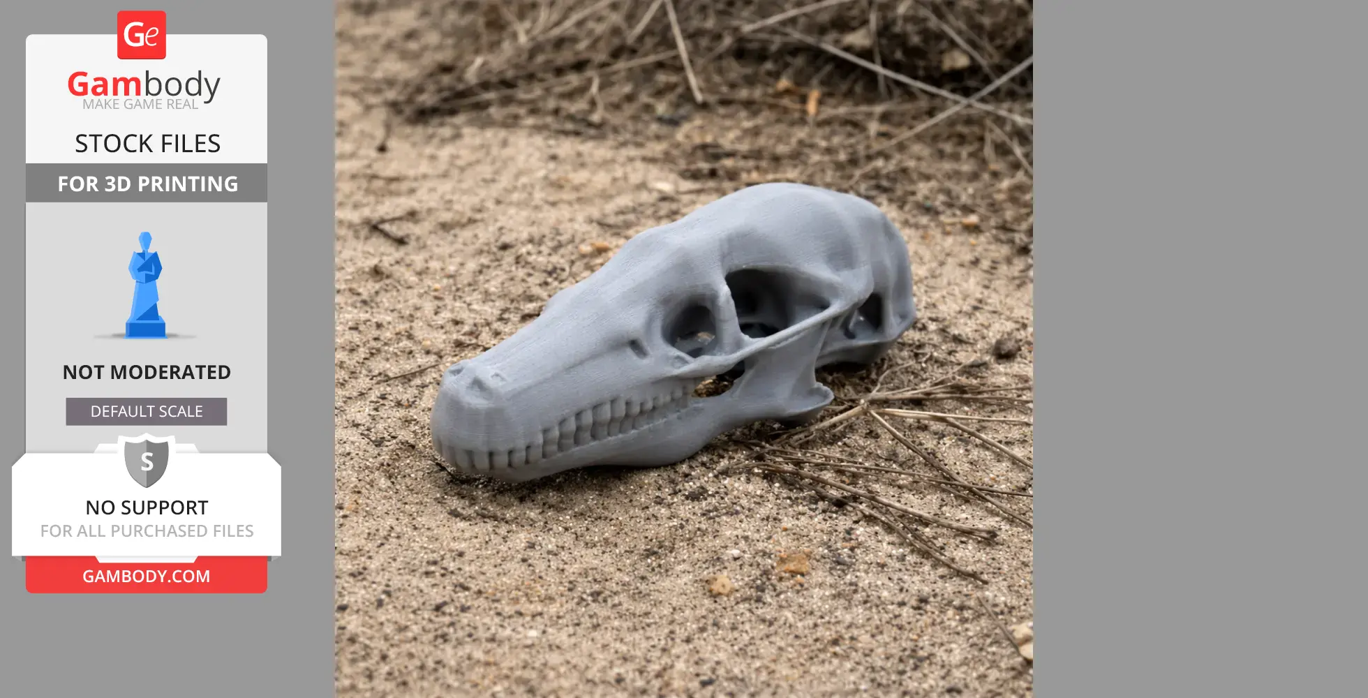 3D printed Cape Golden Mole skull model on sandy ground.