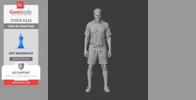 Leroy Sane