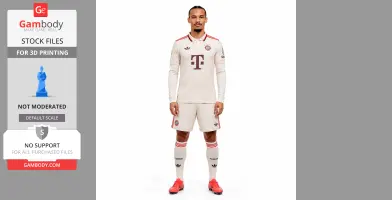 Leroy Sane