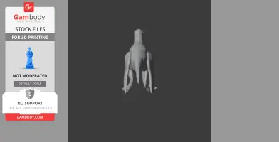 Luanchuanraptor