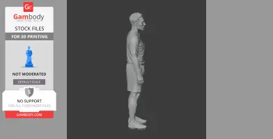 Michael Essien Figurine