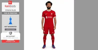 Mohamed Salah Figurine