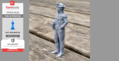 Horatio Nelson Napoleonic Soldier