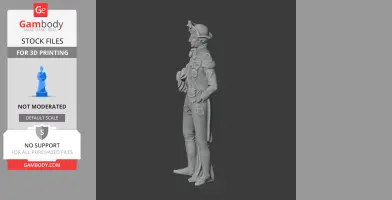 Horatio Nelson Napoleonic Soldier
