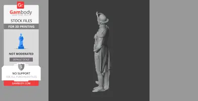 Horatio Nelson Napoleonic Soldier