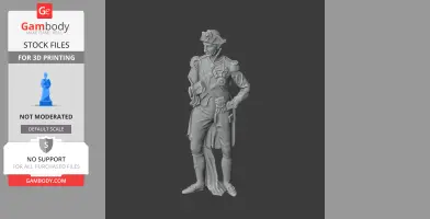 Horatio Nelson Napoleonic Soldier