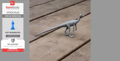 Marasuchus