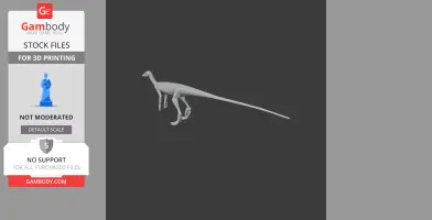 Marasuchus