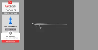 Marasuchus