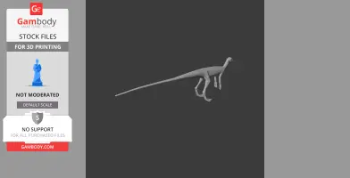 Marasuchus