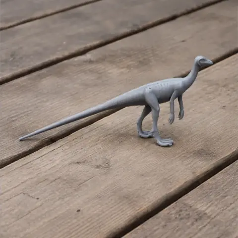 Marasuchus