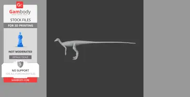 Marasuchus