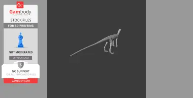 Marasuchus