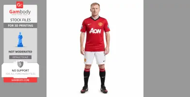 Paul Scholes Figurine