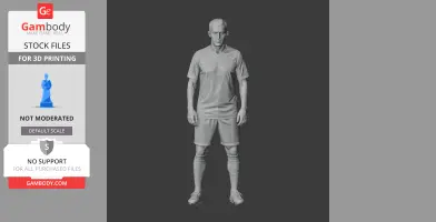 Paul Scholes Figurine