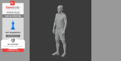 Paul Scholes Figurine