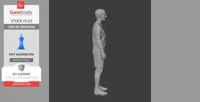 Paul Scholes Figurine