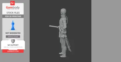 Jean Bernadotte Napoleonic Soldier