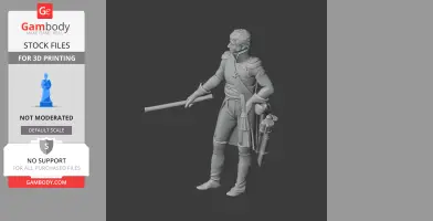 Jean Bernadotte Napoleonic Soldier