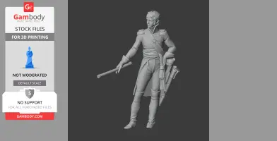 Jean Bernadotte Napoleonic Soldier