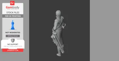 Jean Bernadotte Napoleonic Soldier