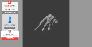 Jean Bernadotte Napoleonic Soldier