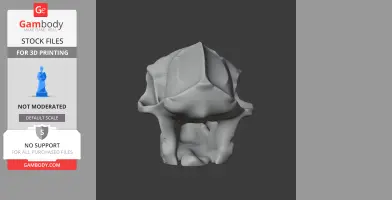 Aegyptopithecus Skull