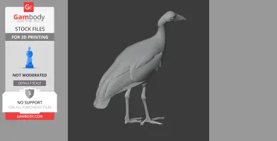 Megapode Bird