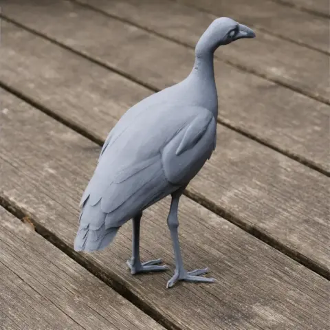 Megapode Bird