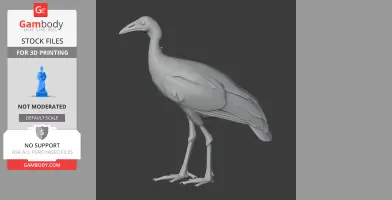 Megapode Bird
