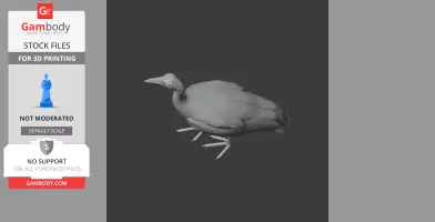 Megapode Bird