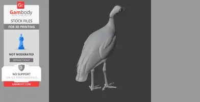 Megapode Bird