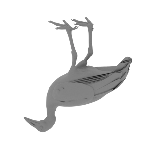 Megapode Bird.stl