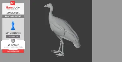 Megapode Bird
