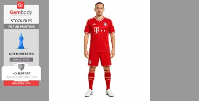 Ribery Figurine