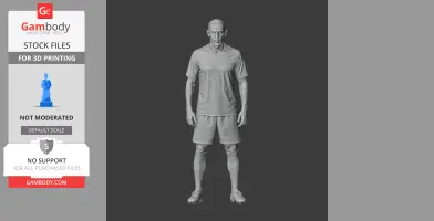 Ribery Figurine