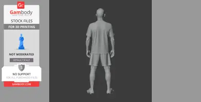 Ribery Figurine