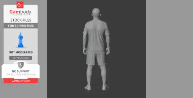 Riquelme - Football Figure STL