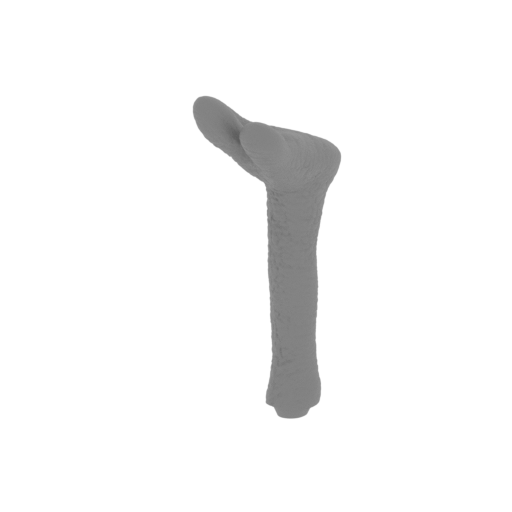 22_leg_R_3_FDM(repaired).stl