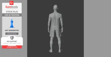Robert Lewandowski - Football Figure STL
