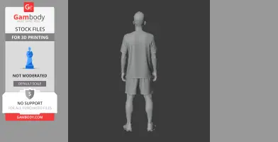 Roberto Firmino - Football Figure STL