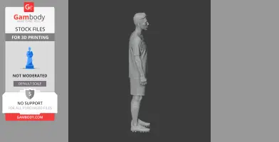 Roberto Firmino - Football Figure STL