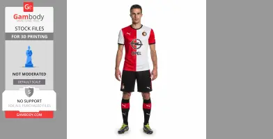 Robin van Persie - Football Figure STL