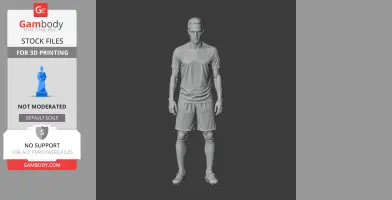 Robin van Persie - Football Figure STL