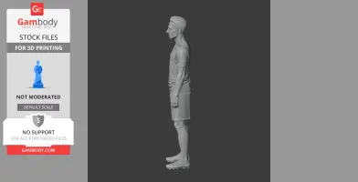 Robin van Persie - Football Figure STL
